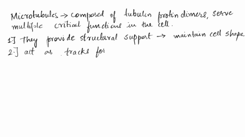 microtubules-are-hollow-rods-made-of-a-globular-protein-called-tubulin-each-tubulin-protein-is-a-dimer-made-of-two-subunits-these-are-easily-assembled-and-disassembled-what-are-four-function-20353