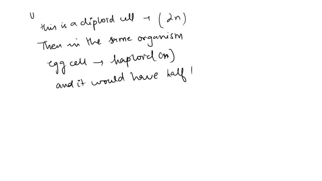 If The Diploid Number In A Liver Cell Is 52