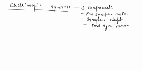 place-the-events-at-a-cholinergic-synapse-in-the-correct-sequence-1acetylcholine-is-released-by-axon-terminal-2-action-potential-reaches-axon-terminal-and-opens-voltage-gated-calcium-channel-13877