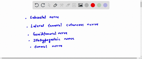 which-of-the-following-nerves-would-carry-afferent-impulses-the-cremasteric-reflex-subcostal-nerve-lateral-femoral-cutaneous-nerve-genitofemoral-nerve-iliohypogastric-nerve-femoral-nerve-11524