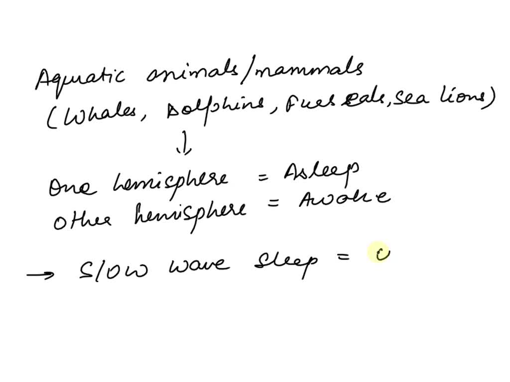 SOLVED: Most land mammals have the ability to rest one hemisphere of