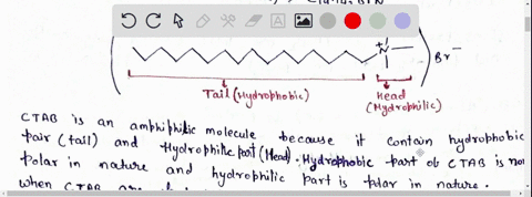 explain-how-the-molecular-structure-of-a-ctab-molecule-allows-it-to-form-micelles-96633