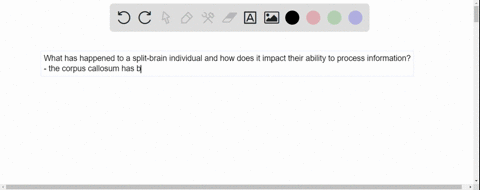 this-figure-represents-a-split-brain-individual-processing-information-what-has-happened-to-the-brai-28187