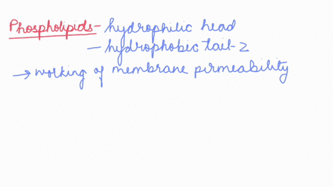 membrane-phospholipids-are-able-to-drift-about-in-the-plasma-membrane-have-hydrophobic-heads-that-face-the-center-of-the-membrane-and-are-shielded-from-water-remain-fluid-because-they-are-li-46992