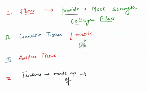 question-7-which-of-the-following-fibers-provide-the-most-strength-collagen-fibers-b-reticular-fibers-elastic-fibers-question-8-all-connective-tissue-consists-of-wving-cells-bnon-living-cell-07836