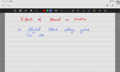 explain-how-adh-is-related-to-an-increased-urge-to-urinate-when-one-drinks-alcohol-60069
