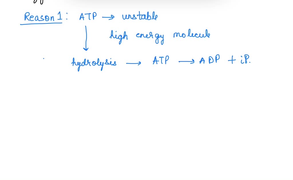 SOLVED A plant uses solar energy to make ATP and NADPH, which then