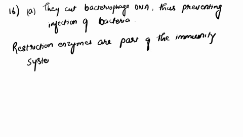 restriction-enzyme-digests-16-they-assist-bacteriophages-in-the-infection-process-a-they-cut-bacteriophage-dna-thus-preventing-infection-of-bacteria-b-they-prevent-methyl-groups-from-attachi-11142