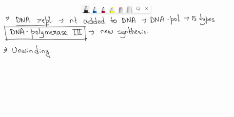 match-the-enzyme-or-protein-with-the-correct-description-of-its-activity-in-bacterial-dna-replication-group-of-answer-choices-chains-most-nucleotides-together-during-dna-replication-choose-d-72988