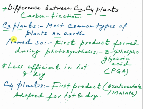 cplani-cam-plants-ce-plants-corcuclinc-cawvin-cycte-bundle-shealli-cells-cuinto-tdur-carton-mclecule-finst-upen-stcmal-only-atnighi-l0-ix-physichjn-searzte-tne-caivin-cyce-tom-okygen-ilew-sp-46966