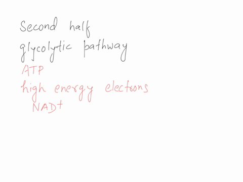 1-in-the-second-half-of-the-glycolytic-pathway-_______-atp-molecules-are-produced-and-with-the-offset-of-____-atps-consumed-in-the-first-half-the-net-yield-is-_______-atps-per-glucose-select-06652
