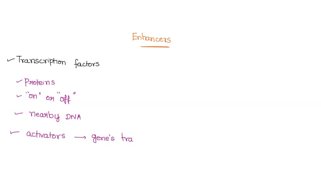 SOLVED Enhancers can act over long stretches of DNA, but are specific