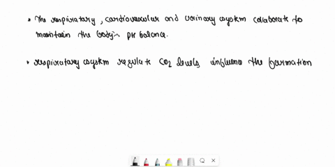 how-do-the-respiratory-cardiovascular-and-urinary-systems-interact-to-maintain-ph-10288