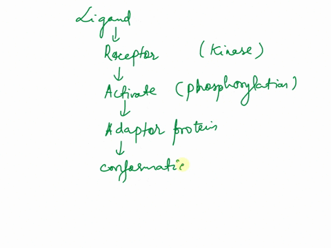 a-signaling-pathway-proceeds-through-three-protein-kinases-that-are-sequentially-activated-by-phosphorylation-in-one-case-the-kinases-are-held-in-a-signaling-complex-by-a-scaffold-protein-in-30866