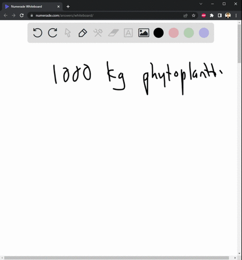 you-are-studying-an-ecosystem-with-three-trophic-levelsphytoplankton-convert-sunlight-and-carbon-dioxide-to-organic-materialzooplankton-eat-the-phytoplanktonherring-fish-eat-both-phytoplankt-58181