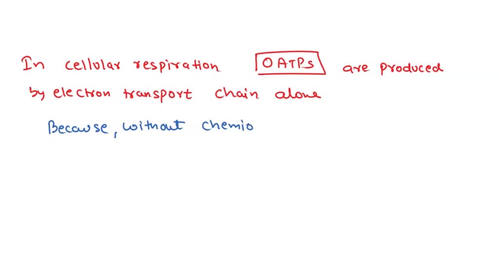 SOLVED a.In cellular respiration, how many ATPs are produced by the