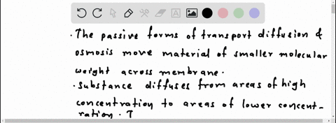 how-does-transport-through-membranes-take-place-87254