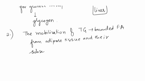 16-muscle-glycogen-cannot-contribute-directly-to-blood-glucose-levels-because-a-muscle-glycogen-cannot-be-converted-to-glucose-6-phosphate-b-muscle-lacks-glucose-6-phosphatase-c-muscle-conta-55416