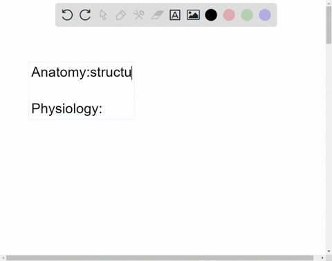 what-is-the-difference-between-anatomy-and-physiology-how-do-these-two-sciences-support-each-other-79955