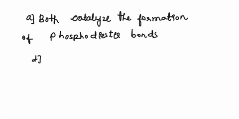 identify-the-similaritysimilarities-between-dna-polymerase-and-rna-polymerase-select-all-that-apply-marks-removed-for-incorrect-selections-click-on-next-page-at-the-bottom-of-the-screen-afte-95128