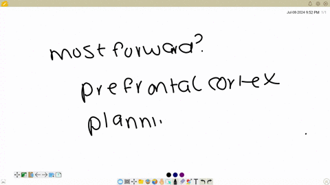 the-qquad-is-the-most-forward-part-of-the-frontal-lobe-and-is-involved-in-qquad-prefrontal-cortex-repeating-behaviors-prefrontal-cortex-planning-of-behavior-occipital-cortex-planning-of-behaviors-occi