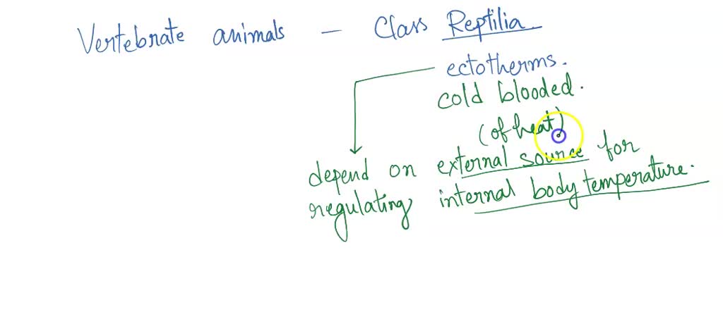 SOLVED: Why reptiles eat less then other animals? O They are endotherms