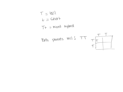 these-show-the-2-alleles-of-each-parent-plant-crossed-with-each-other-and-the-resulting-possible-offspring-with-t-tall-short-tt-dominant-tall-recessive-short-tt-mixed-hybrid-tt-dominant-tall-61572