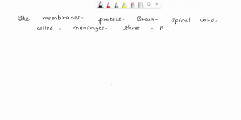 the-membranes-that-protect-the-brain-and-spinal-cord-are-called-what-are-the-interconneeting-spaces-that-produce-und-serve-a5-rcsctvoit-i0r-cerebrospinal-tluid-the-brain-called-10-the-primar-15733