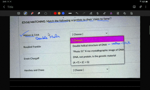 match-the-following-scientists-to-their-claim-to-fame-ch16-matching-watson-crick-choose-choose-double-helical-structure-of-dna-photo-51-x-ray-crystallographic-image-of-dna-dna-not-protein-is-06518