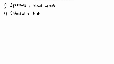 anodieen-n-posne-iarddjto-lood_clet-cample-feedback-loop-system-make-up-the-negatiua-braln-and-encoccin-lnat-ora0-thoracic-r-calrd-membtane-located-which-viscen-geed-sn-th-musc-patawar-terio-90535
