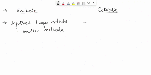 compare-and-comtrast-between-anabolic-and-catabolic-reaction-provide-and-example-of-each-22629