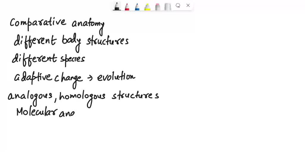 SOLVED The identification of the arms, flippers, and wings on adult