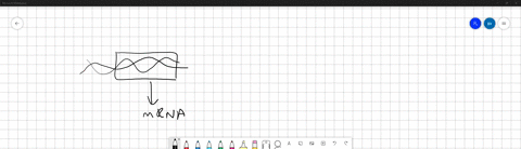 short-answer-in-the-chromatin-of-eukaryotic-cells-which-regions-of-the-chromosome-would-you-expect-t-08774