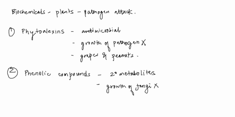 role-of-biochemicals-produced-by-the-plants-in-response-to-pathogen-attack-98635