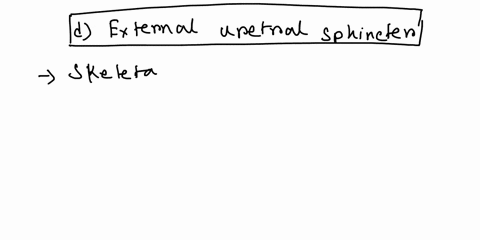 which-structure-is-highlighted-multiple-choice-urethra-bladder-ureter-external-urethral-sphincter-internal-urethral-sphincter-53708