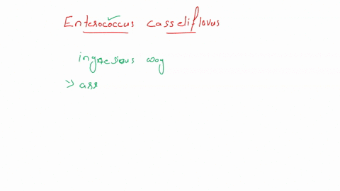 enterococcus-caasseliflavus-grow-anaerobically-fermenting-glucose-to-produce-only-lactate-it-uses-homofermentative-metabolism-operating-within-the-normal-glycolytic-pathway-this-organism-doc-58888