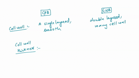 using-the-internet-and-your-textbook-sketch-the-cell-membranes-of-gram-negative-and-gram-positive-bacteria-below-make-sure-to-label-the-following-structures-in-each-plasma-membrane-peptidogl-59236