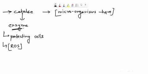 lab-7-biochemical-and-serological-assays-part-2-bacteria-and-differential-media-25-pts-total-dbservation-data-shect-1opts-05-pt-for-each-cell-in-the-table-triple-sugar-mannitol-salt-growth-a-76537