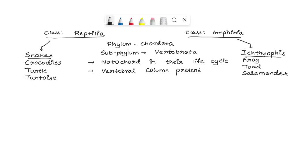 SOLVED: The key character that reptiles have and amphibians do not have