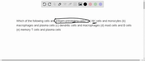 which-of-the-following-cells-are-antigen-presenting-cells-a-nk-cells-and-monocytes-b-macrophages-a-2-94848