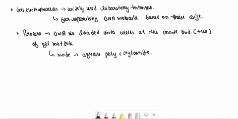 write-short-paragraph-about-gel-electrophoresls-which-should-answer-thesc-questlons-below-why-is-dna-positioned-at-the-black-cathode-end-what-would-happen-if-you-misplace-the-dna-containing-26773