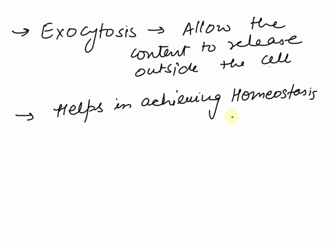 exocytosis-is-the-process-by-which-vesicles-in-the-cytoplasm-fuse-with-the-cell-membrane-releasing-their-contents-into-the-cells-external-environment-this-is-the-form-of-transport-used-by-a-87886