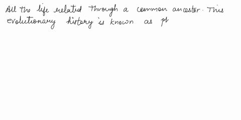 4-all-of-life-is-related-through-common-ancestor-the-evolutionary-history-of-how-ogranisms-are-related-is-known-as-morphology-true-false-5a-favored-trait-thate-evolves-through-natural-select-95032
