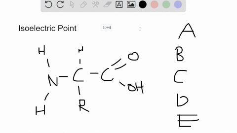 question-7-for-amino-acids-with-neutral-r-groups-at-any-ph-below-the-pl-of-the-amino-acid-the-population-of-amino-acids-in-solution-will-have-a-no-net-charge-a-net-positive-charge-ca-net-neg-07973