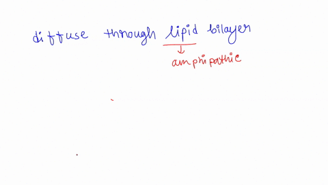 name-one-molecule-that-can-readily-diffuse-across-a-lipid-bilayersome-sodium-ions-cross-a-cell-membr-39315
