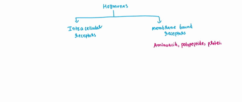 a-nonpolar-molecule-such-as-a-steroid-hormone-usually-binds-to-a-a-cytoplasmic-receptor-b-g-protein-linked-receptor-c-ion-channel-receptor-d-protein-kinase-receptor-48956