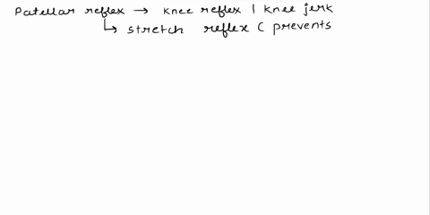 which-reflexes-are-the-fastest-1-achilles-medium-2-patellar-relaxed-3-quad-crossed-extensor-order-them-from-fastest-to-slowest-is-the-patellar-reflex-relaxed-inhibited-or-enhanced-by-volunta-16497