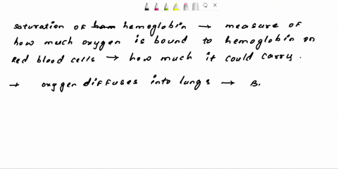 true-or-false-saturation-of-hemoglobin-is-the-measure-of-how-much-o2-is-chemically-bound-to-the-hemoglobin-on-the-rbcs-compared-to-how-much-it-could-actually-carry-02035