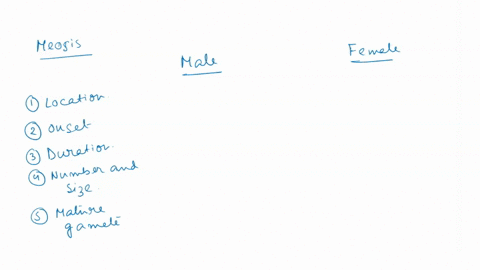 16-compare-the-process-of-meiosis-between-male-and-female-mammals-include-in-your-discussion-the-name-of-each-process-its-location-onset-and-duration-finally-contrast-the-differences-in-the-94942