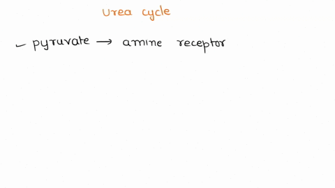 the-overall-reaction-of-the-urea-cycle-maybe-depicted-in-the-following-way-2hzo-nha-hcoz-3atp-_-aspartate-urea-2adp3-4pi-ampz-2h-fumarate-yet-the-overall-reaction-given-in-your-textbook-take-90072